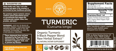 Organic Turmeric by Global Healing Supplement Facts
