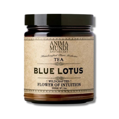 Anima Mundi Blue Lotus Tea from the Flower of Intuition